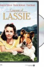 Watch Courage of Lassie Zmovies