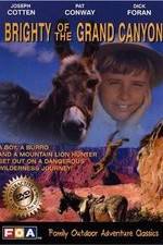Watch Brighty of the Grand Canyon Zmovies