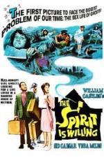 Watch The Spirit Is Willing Zmovies
