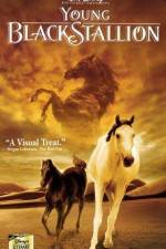 Watch The Young Black Stallion Zmovies