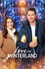 Watch Love in Winterland Zmovies