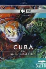 Watch Cuba: The Accidental Eden Zmovies