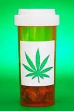 Watch Medicinal Cannabis and its Impact on Human Health Zmovies