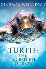 Watch Turtle The Incredible Journey Zmovies