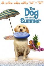 Watch The Dog Who Saved Summer Zmovies