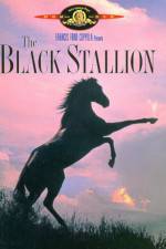 Watch The Black Stallion Zmovies