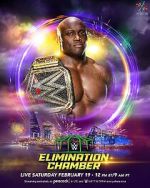 Watch WWE Elimination Chamber (TV Special 2022) Zmovies
