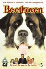 Watch Beethoven Zmovies