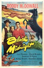 Watch Black Midnight Zmovies