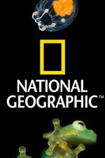 Watch National Geographic Wild Dam Beavers Zmovies