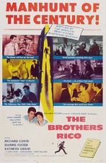 Watch The Brothers Rico Zmovies