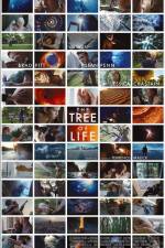 Watch The Tree of Life Zmovies
