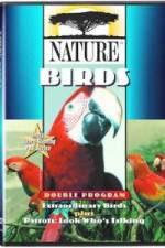 Watch PBS Nature - Extraordinary Birds Zmovies