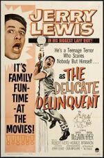 Watch The Delicate Delinquent Zmovies