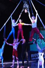 Watch Circus School Zmovies