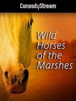 Watch Wild Horses of the Marshes Zmovies