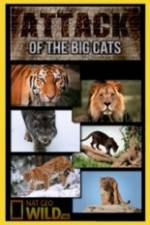 Watch National Geographic Attack Of The Big Cats Zmovies