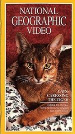 Watch Cats: Caressing the Tiger Zmovies