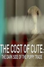 Watch The Cost of Cute: The Dark Side of the Puppy Trade Zmovies