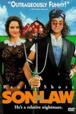 Watch Son in Law Zmovies