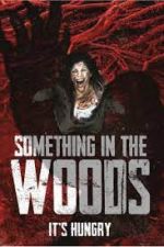 Watch Something in the Woods Zmovies