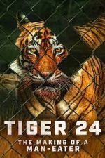 Watch Tiger 24 Zmovies