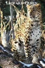 Watch Leopard Queen Zmovies
