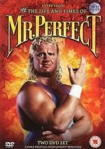Watch The Life and Times of Mr. Perfect Zmovies