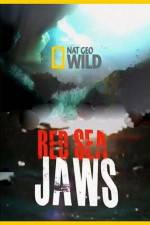 Watch National Geographic Red Sea Jaws Zmovies