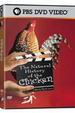 Watch The Natural History of the Chicken Zmovies