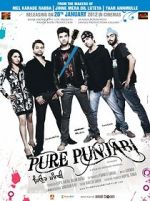 Watch Pure Punjabi Zmovies