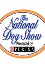 Watch National Dog Show Zmovies