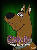 Watch Scooby-Doo, Where Are You Now! (TV Special 2021) Zmovies