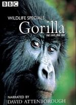 Watch Gorilla Revisited with David Attenborough Zmovies
