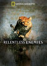 Watch Relentless Enemies Zmovies
