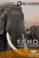 Watch Echo: An Elephant to Remember Zmovies