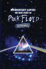 Watch Pink Floyd: Momentary Lapses - The True Story Of Pink Floyd Zmovies