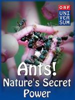 Watch Ants: Nature\'s Secret Power Zmovies