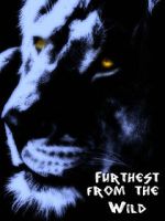 Watch Furthest from the Wild Zmovies