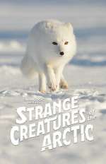 Watch Strange Creatures of the Arctic (TV Special 2022) Zmovies