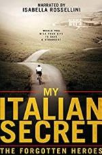 Watch My Italian Secret: The Forgotten Heroes Zmovies