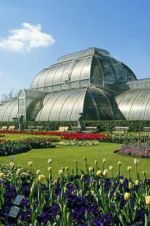 Watch Cruickshank on Kew: The Garden That Changed the World Zmovies