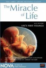 Watch The Miracle of Life Zmovies