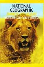 Watch National Geographic: Walking with Lions Zmovies