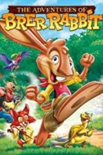 Watch The Adventures of Brer Rabbit Zmovies