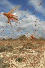 Watch Swarm Chasers: Locusts Zmovies
