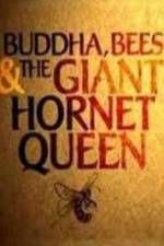 Watch Natural World Buddha Bees and the Giant Hornet Queen Zmovies