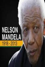 Watch Nelson Mandela: The Final Chapter Zmovies