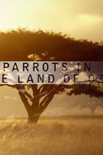 Watch Nature Parrots in the Land of Oz Zmovies