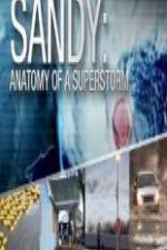 Watch Sandy Anatomy Of A Superstorm Zmovies